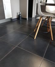 CARL'PLUS TERRIER Eric image 2