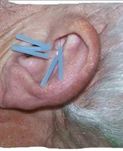 Rupprecht Doris Bild 2