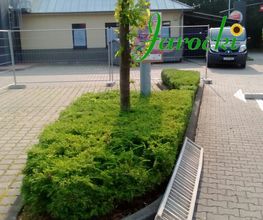 Grüninsel vorher