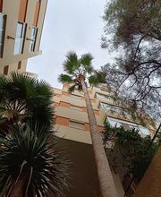 Jardinería Juan García imagen 3