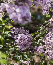 Hess Galabau AG Bild 5