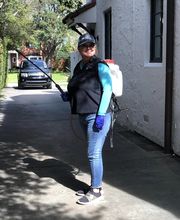 SafeHaven Pest Control image 2