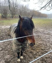 Les Ecuries De Mury image 3