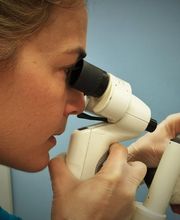 Kleintierpraxis am Obersee GmbH Bild 7