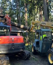 Saylor Landscaping image 13