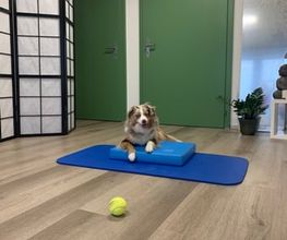 Pilates Garage Susanne Nordenström Bild 5