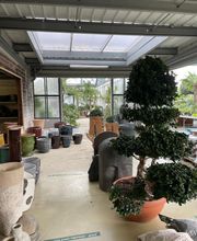 Pépinières de Corme Royal image 15