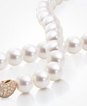 Brändli Uhren - Schmuck AG Bild 5