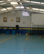 TIREX MICHELIN Cuauhtémoc imagen 6