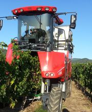 Colon Pierre SCEA image 6