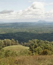 Animal Medical Services image 4