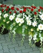 Bruno Rossi - Onoranze Funebri - SA Bild 3