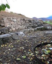 Gartenbau Reinhard AG Bild 3