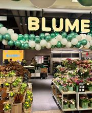 BLUME2000 Darmstadt Bild 3