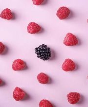 Stalder Schweizerfrüchte AG Bild 6