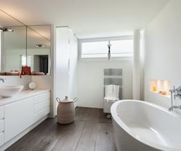 Colanero GmbH Bild 4
