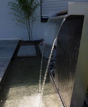 Stark im Garten Bild 46