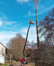 Entrepreneur Travaux Forestiers Petitgirard image 4