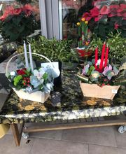 Acqua Flora image 16