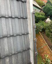 Dorquelle Vincent image 2