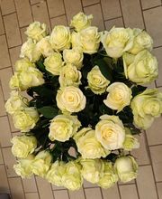 Blumen-Ecke Romana Hoss Bild 6