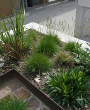 Madano Gartenbau & Gartenpflege Bild 11