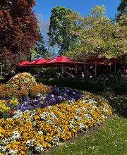 Restaurant und Eiscafé Rossini Bild 5
