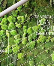DECO-VEGETALE image 1