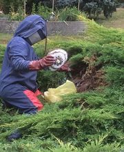 Garcia Manuel image 6