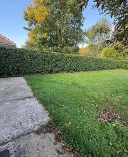 BEN PAYSAGE image 6