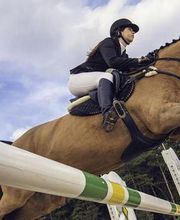 Escuela Hípica los Nogales imagen 1