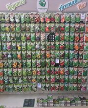 Jardinerie André image 8