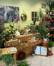 Blumengeschäft Efeulaube Bild 7