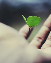 SEGUROS CER CORREDURÍA imagen 1