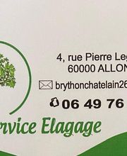 BC Service Élagage image 2