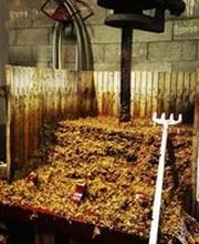 Domaine Rousselin image 4