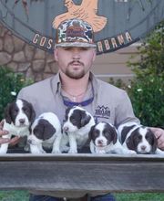 Covey Point Outfitters image 13