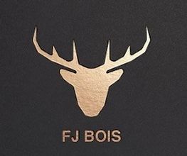 FJ Bois image 2