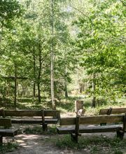 FriedWald Dudenhofen Bild 10