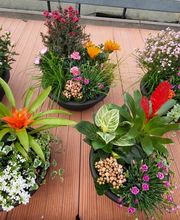 GIARDINI DOS SANTOS CANIÇO Bild 14