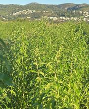 NutraPosuna imagen 1