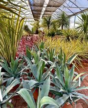 Pépinières Bourquin image 9