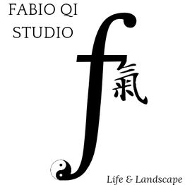 Fabio Qi Studio