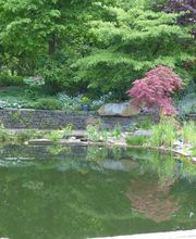 Walter Schmitz Gärten für Auge und Seele Bild 7