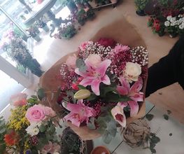 DolceSpina image 11