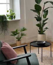 Pascale Jenny – Paartherapie & Familientherapie Bild 3