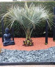 Jardin'Art image 2
