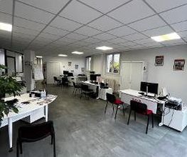 CRIT SENS image 3