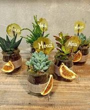 Ver'tiges Fleurs Gorron image 9