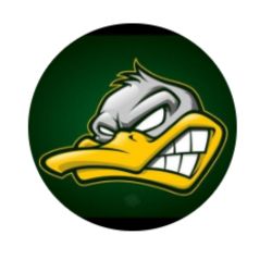 DUCKS.png